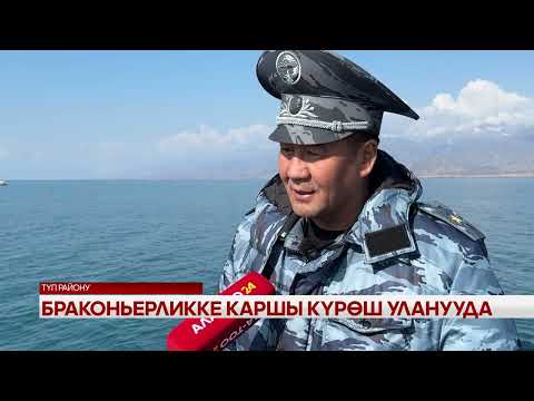 Видео: Браконьерликке каршы күрөш уланууда 