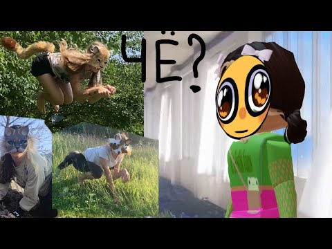 Видео: реакция на квадробику