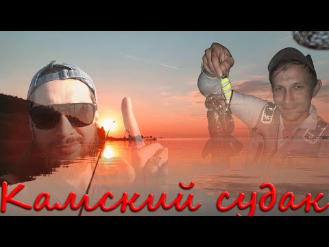 Видео: Из Елабуги в НИжнекамс и обратно. река Кама Судак Окунь рыбалка на троллин