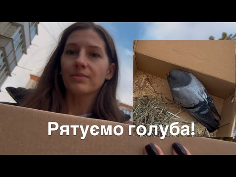 Видео: Сашуня подзвонила-каже, терміново виходь на вулицю!