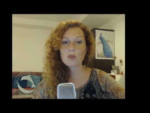 Видео: Навамша D-9