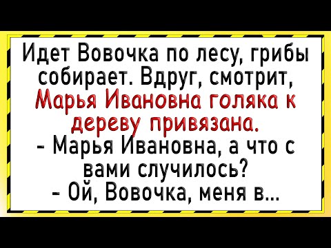 Видео: Как Вовочка моментом воспользовался! Сборник свежих анекдотов! Юмор!