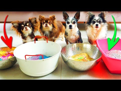 Видео: МИНИ СЛАЙМЫ ПРОТИВ ПИТОМЦЕВ! СМЕШАЛИ МИЛЛИОН ЛИЗУНОВ В 4 АНТИСТРЕСС ГИГАНТА! СЛАЙМ РАСПАКОВКА 6 ДЕНЬ