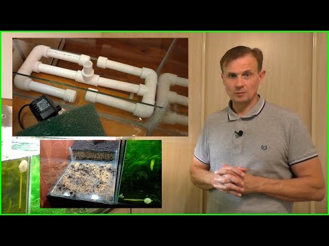 Видео: Новая партия корма и бактерий Dead Shrimp Донный фильтр модель Август месяц 2022 года