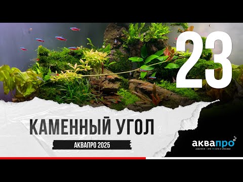 Видео: 23. Каменный угол. #АкваПро