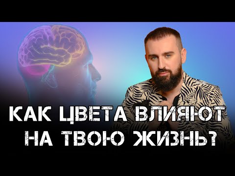 Видео: Как цвета влияют на твою жизнь?