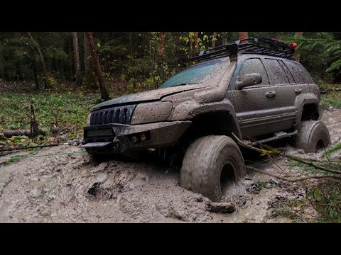 Видео: Едут ли 40 колеса и патруль мосты?  Поваленные деревья, и звуки v8.