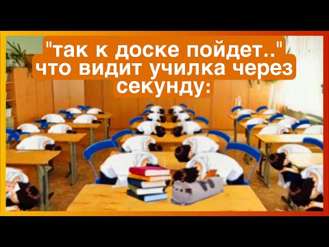 Видео: тикток идет к доске | подборка мемов