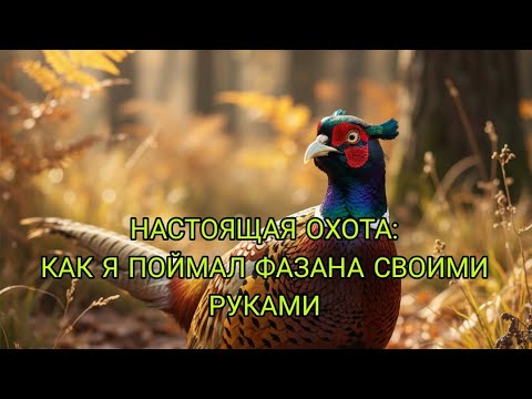 Видео: ОХОТНИК БЕЗ РУЖЬЯ: МОЙ СПОСОБ ПОЙМАТЬ ФАЗАНА/// ЖИВОЛОВУШКА НА ФАЗАНА/// ЛОВУШКИ НА ФАЗАНА
