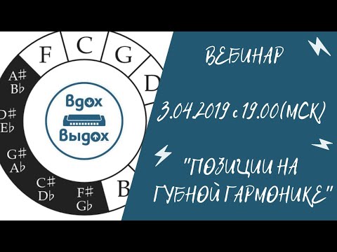 Видео: Позиции на губной гармонике/Какую тональность гармошки выбрать  для конкретной композиции