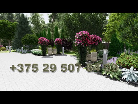 Видео: Ландшафтный дизайнер. Евгений Бабаев.
