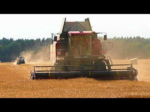 Видео: Уборка Ячменя - Ярового,  ГОМСЕЛЬМАШ GS12A1 PRO, и Палессе GS12, тюкование мтз 1221, krone comprima