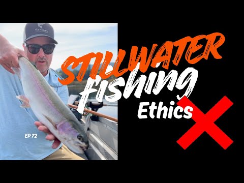 Видео: Объяснение стресса у форели: как этично ловить рыбу в стоячей воде во время летней жары