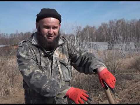 Видео: Зеленый сад фильм № 278 "Посадка яблонь в сланцевой форме" от 20.04.19г. Хабаровск (zeleniisad.ru)