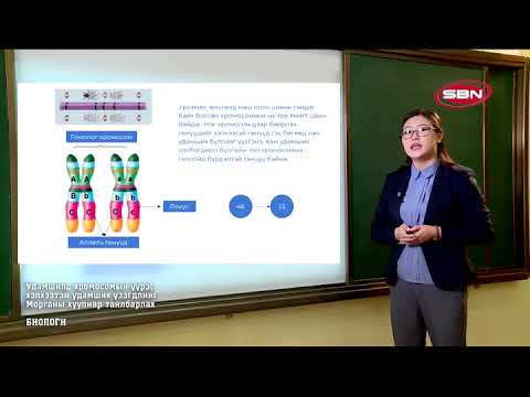 Видео: 2020 03 27 10р анги Биологи