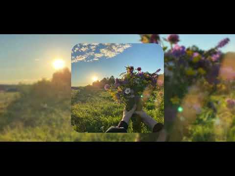 Видео: Песни с вайбом весна-лето