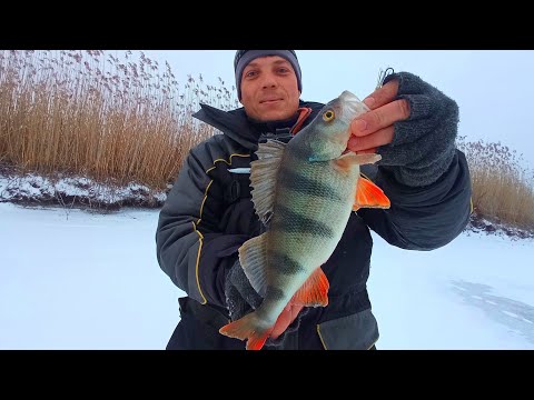 Видео: ПЕРШИЙ ЛІД 2022-2023.В Пошуках Крупного Окуня на Балансир Зимова рибалка