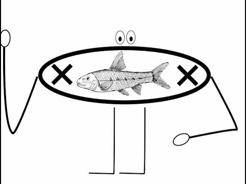 Видео: Урок 3 :  буква, сричка, дума, изречение