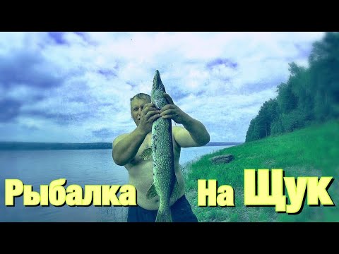 Видео: Река Ангара. Ловим щук.