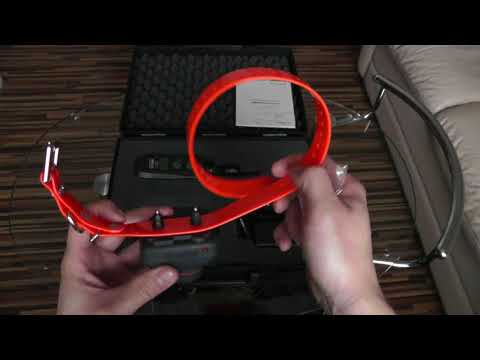 Видео: Dogtra 2500 обзор (на РУССКОМ) электронного ошейника.