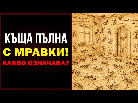 Видео: Някои МРАВКИ се появяват в тишина, когато домът ти е в КОНФЛИКТ – Сенека го обясняваше така