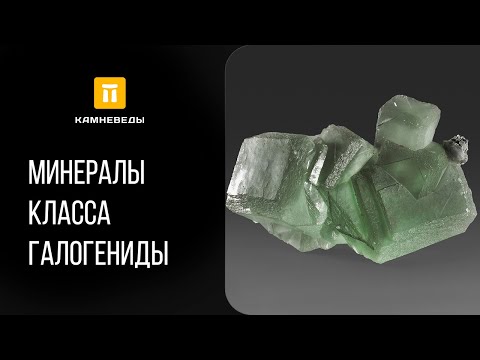 Видео: МИНЕРАЛЫ КЛАССА ГАЛОГЕНИДЫ