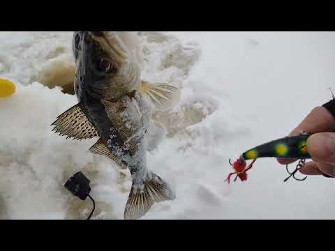 Видео: судак 4.02.2024 и назад на эвакуаторе)