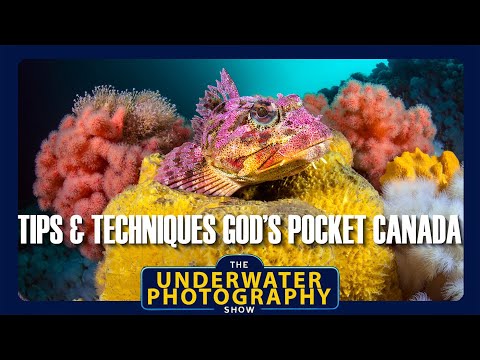 Видео: Советы, методы и снаряжение для God's Pocket, остров Ванкувер