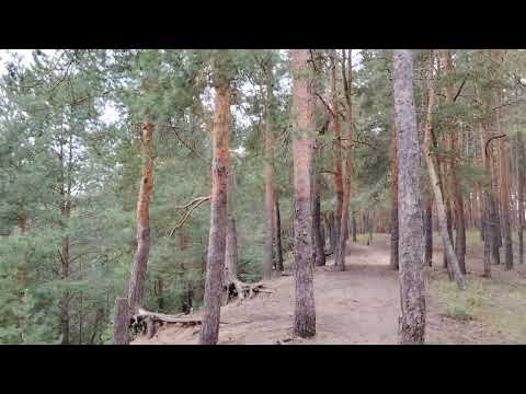 Видео: Бедным быть страшно! Причины бедности. Что делать?