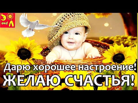 Видео: С Добрым Утром! Классная Песня! Желаю счастья Позитив на весь день Счастье непременно Тебе улыбнётся