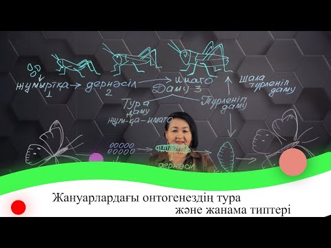 Видео: Жануарлардағы онтогенездің тура және жанама типтері. 7 сынып.