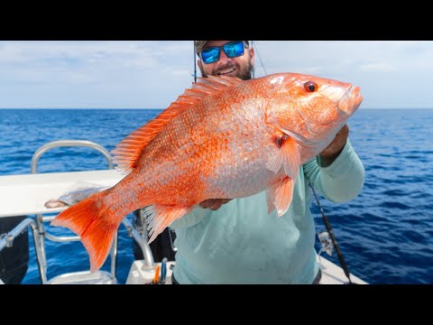 Видео: СУПЕР-рыбалка в открытом море, Центральные районы Флориды (80 миль)