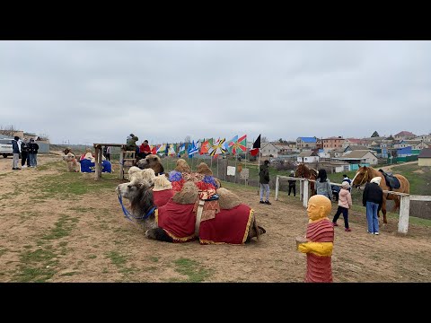 Видео: Развлечение Элиста.Одно из мест которых вы должны посетить