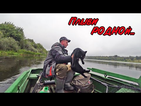 Видео: РЫБАЛКА НА СПИННИНГ НА ЗАПАДНОЙ ДВИНЕ(Daugava)ВЗЯЛ КОТА В ЛОДКУ.СПИННИНГ В СЕНТЯБРЕ 2022.