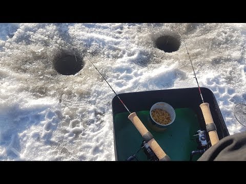 Видео: Подледный фидер. Ловля фидером зимой из-подо льда