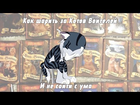 Видео: Как шарить за Котов Воителей? | Мини-обзор |Warriors Cats