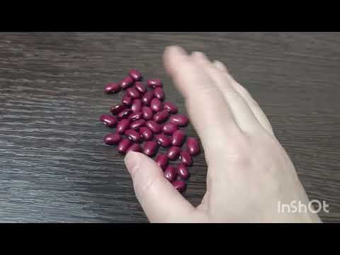 Видео: Будет ли хорошая работа.Гадание на бобах