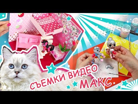 Видео: VLOG 101 ► Как я снимаю видео ● Кот Макс Проказник! ► OrionaLife