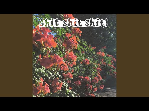 Видео: калифорния