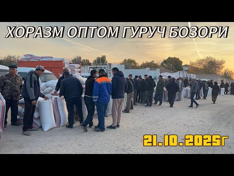 Видео: ХОРАЗМ ОПТОМ ГУРУЧ БОЗОР НАРХЛАРИ 21 10 25г