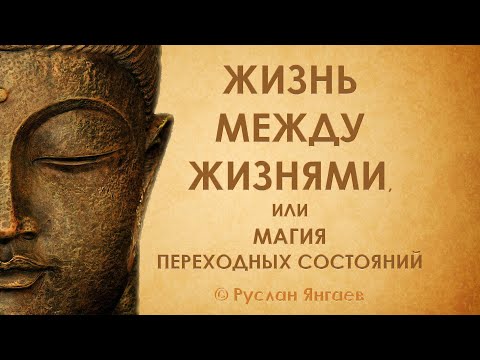 Видео: Жизнь между жизнями 1