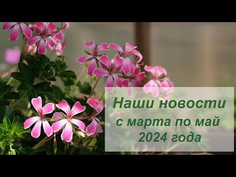 Видео: Весна 2024 - куча необычных для меня новинок и новый канал.