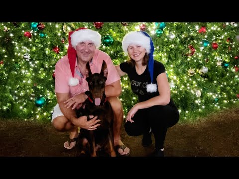 Видео: ХВАТИТ РАБОТАТЬ!  Дальнобой по Америке.