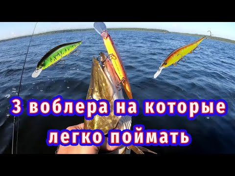 Видео: ТРИ Лучших воблера сезона 2024 на глубины до 4м!