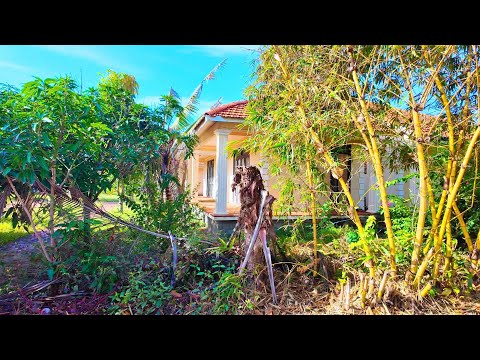 Видео: Рай, который когда-то был раем, а теперь забыт — пока не вернулась девушка, учившаяся за границей