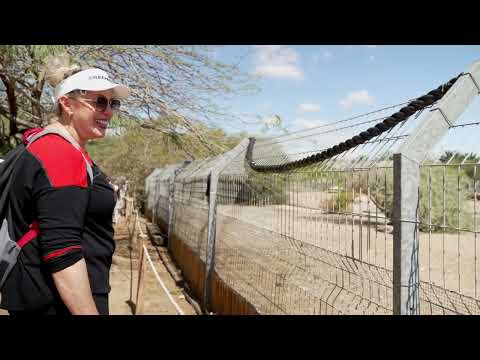 Видео: *Кроколоко* крокодиловая ферма