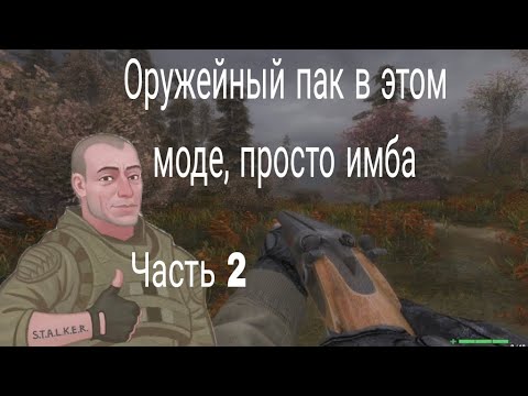 Видео: S.T.A.L.K.E.R Тайные тропы 2 (OGSR) #2 - С неба на Янтарь 