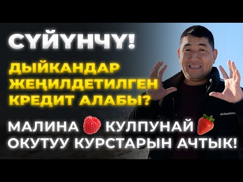 Видео: МӨМӨ-ЖЕМИШ АССОЦИАЦИЯСЫ АЧЫЛДЫ! ДЫЙКАНДАРГА КАНДАЙ МҮМКҮНЧҮЛҮКТӨР БАР?