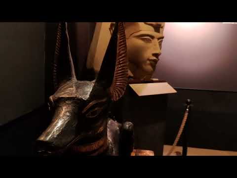 Видео: Один день из жизни сибирячки. Музей, кафе, спектакль и приятная рутина