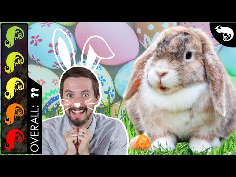 Видео: Кролик — лучшее домашнее млекопитающее?